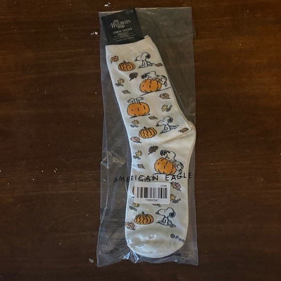 American Eagle Outfitters Snoopy Pumpkin Pajama Set - Picture 5 of 5